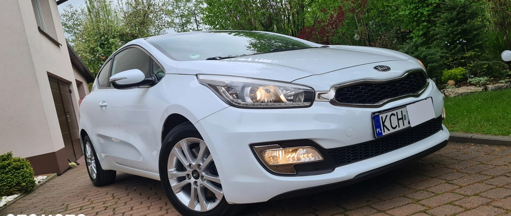 Kia Pro_cee'd cena 33900 przebieg: 190000, rok produkcji 2013 z Kietrz małe 781